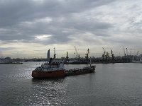 IMG 4551