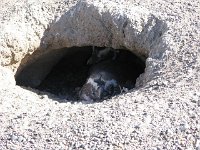 IMG 4604