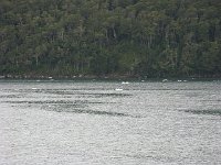 IMG 4773