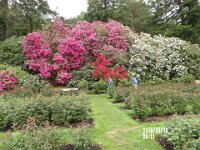 IMGP0015 They keep things well