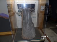 IMGP0025 Part of a tree that was destroyed by the vocano