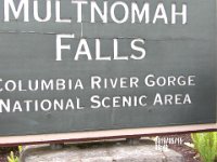 IMGP0075 Sellf Explanatory