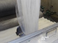 IMGP0097 Interesting to watch