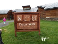 IMGP0103 Self explanatory