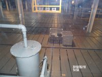 IMGP0126 Spent fuel rods stored in water below the floor